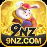 9nz - Pro Earning App